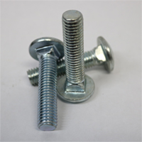 Carriage bolt