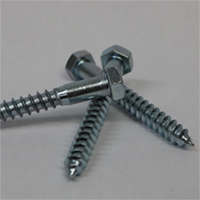 Hex lag screw