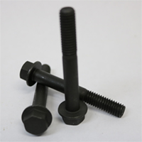 Washer head bolt