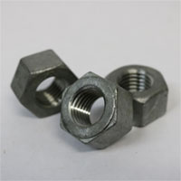 2h hex nut