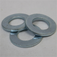 Sae flat washer